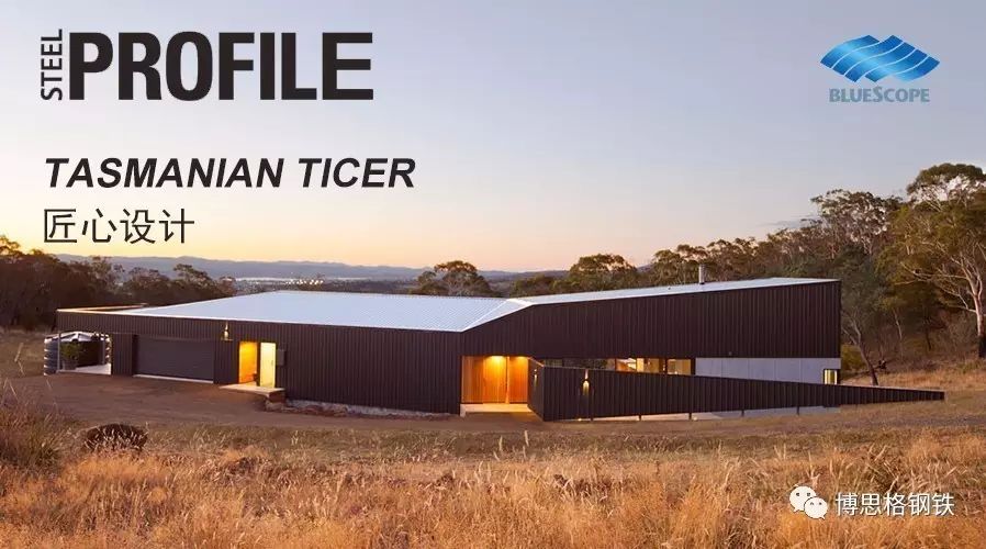 匠心设计 Tasmanian Ticer